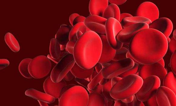 اسباب فقر الدم الأنيميا وكيفية علاجه